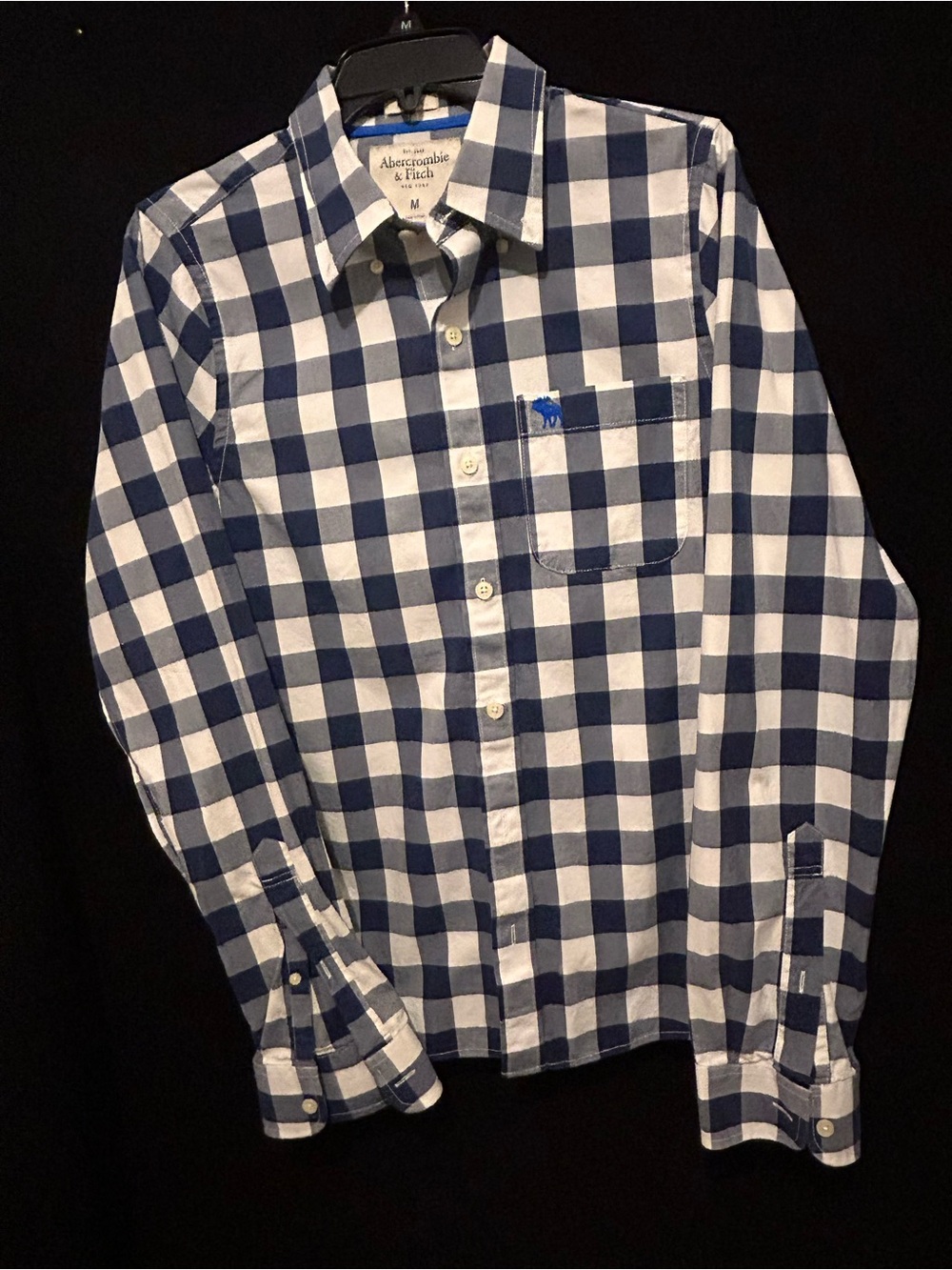 Abercrombie & Fitch Men's Blue and White Check Button-Down Shirt